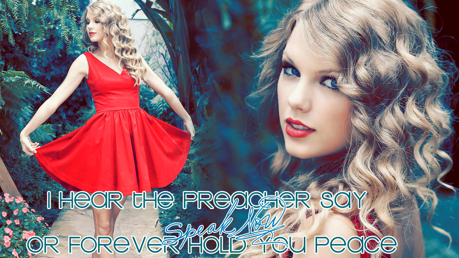 Taylor Swift Speak Now Lyrics Wallpaper Best Cool