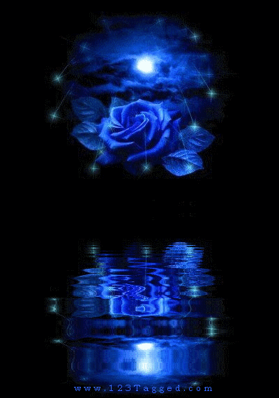 Blue Roses Tagged Ments Graphics Glitters