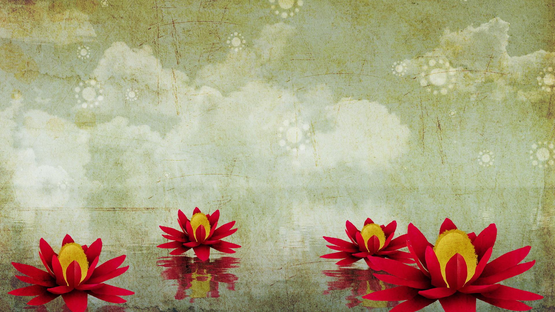 Wallpaper Lotus Flower Nature Puter Desktop