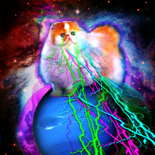 Trippy Cat Desktop Backgrounds