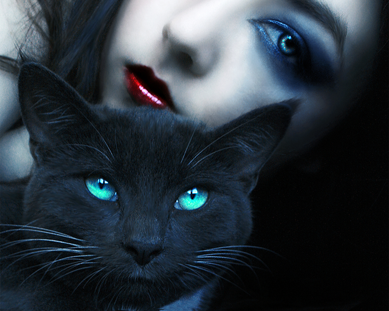 Wallpaper Girl With Black Cat 3d For Desktop