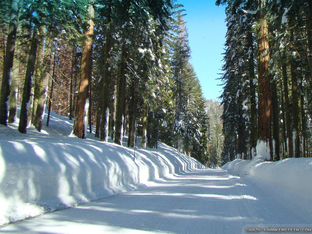 Wallpaper Snowy Road Winter