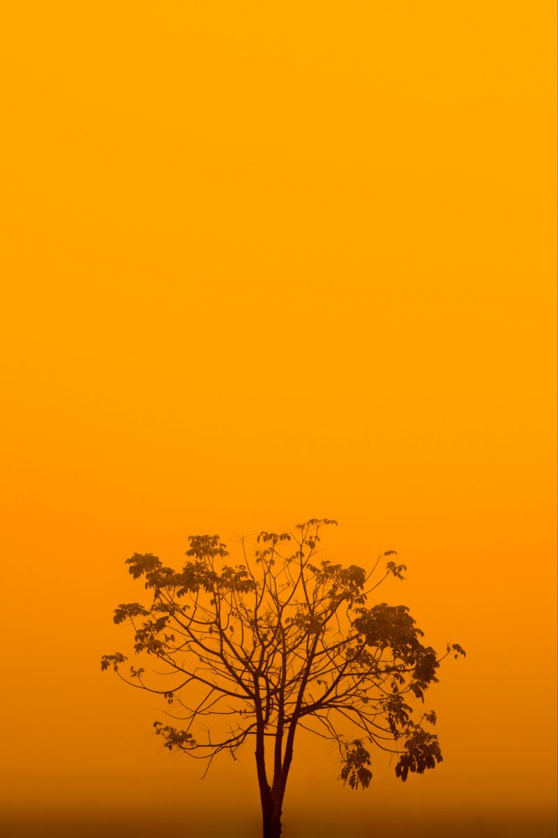 Yellow iPhone Aesthetic Wallpaper