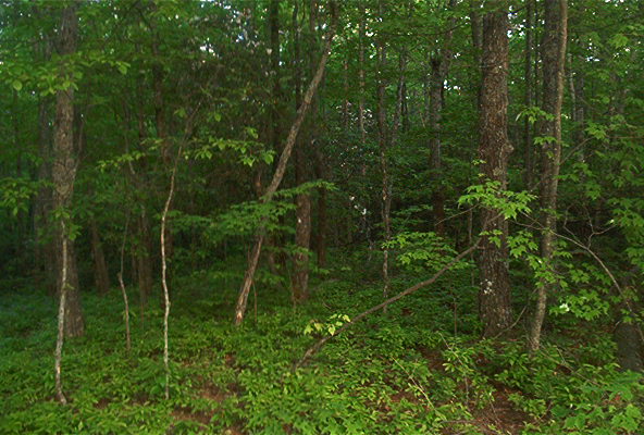 Appalachian Trail Desktop Background Screensavers