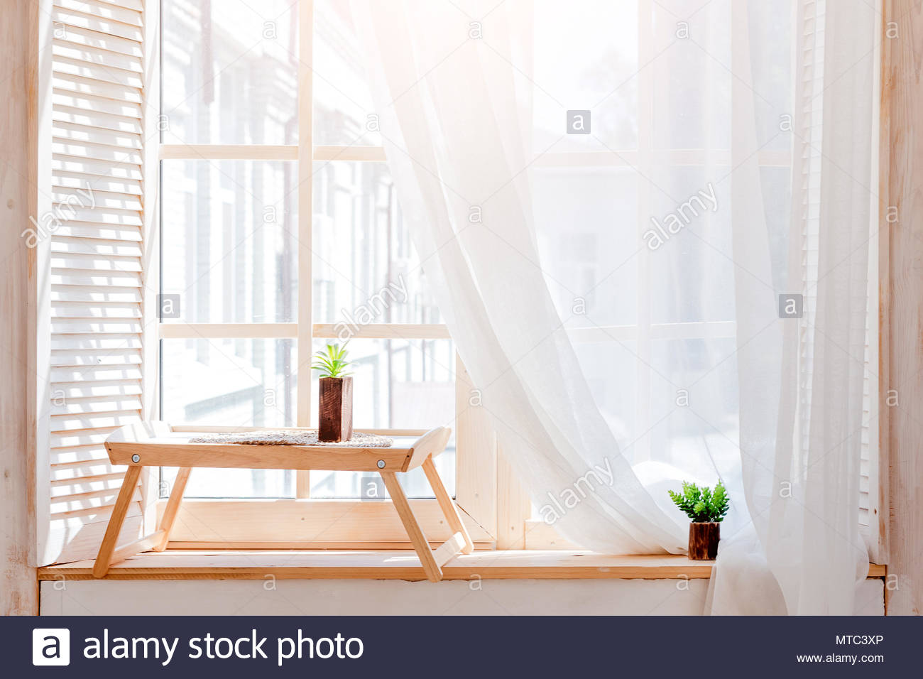 Free download Green cactus succulents on the windowsill on wooden table