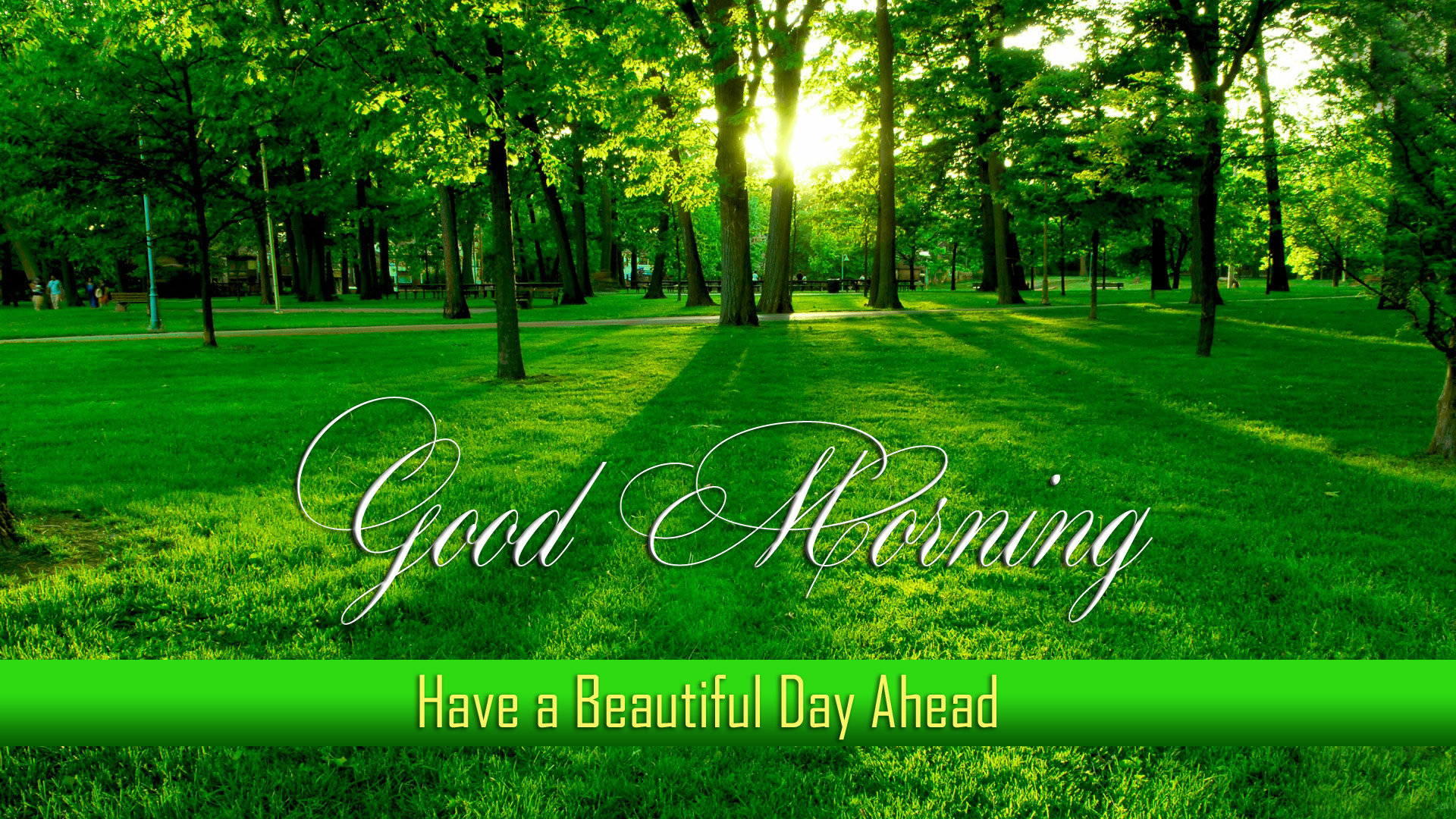 Beautiful Good Morning Wallpaper Submited Image