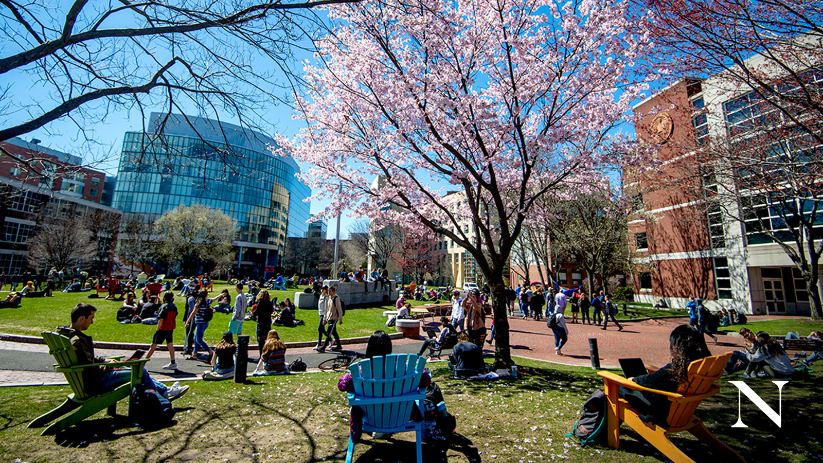 These Zoom Virtual Background To Bring Northeastern Home