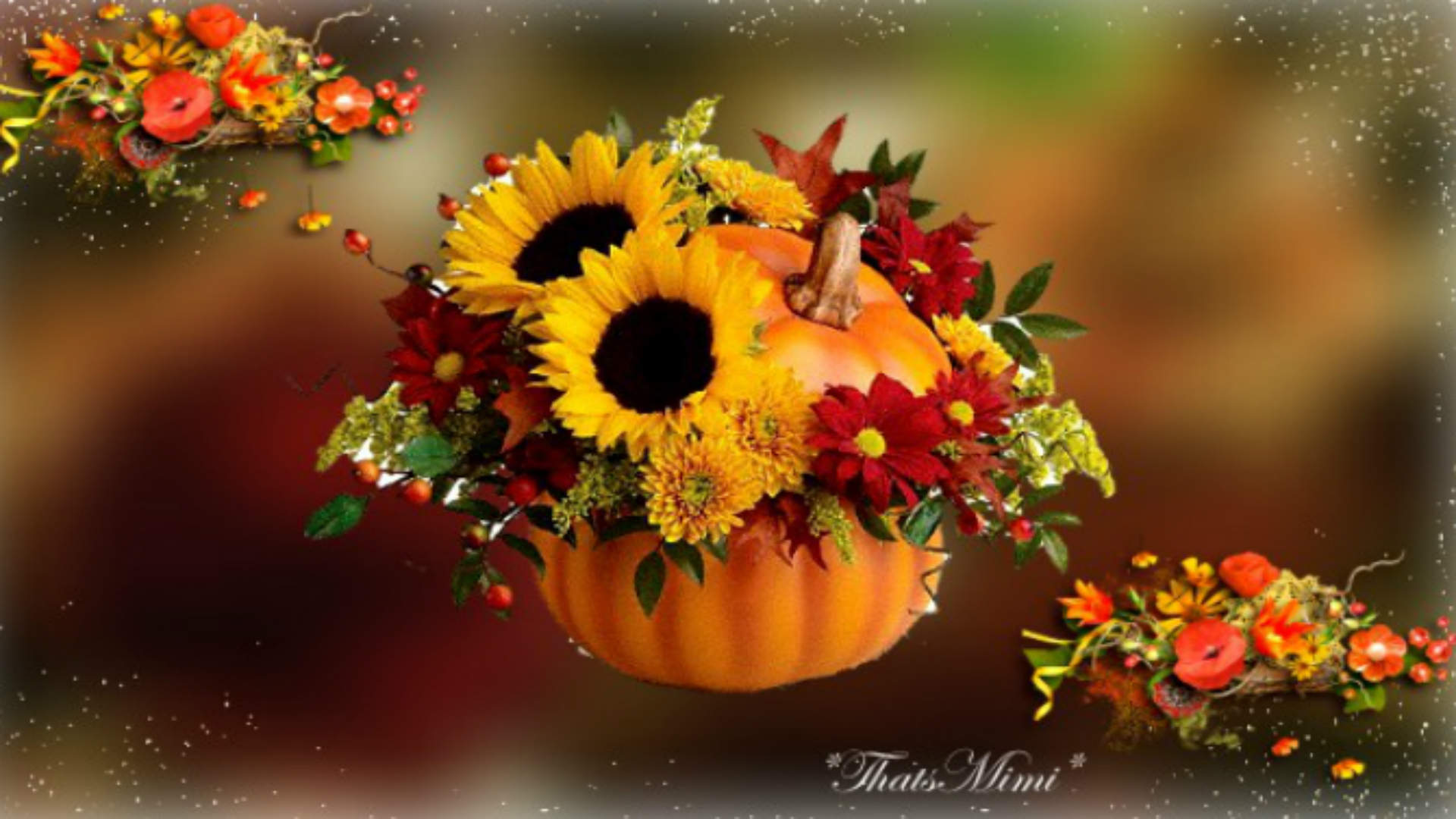 Fall Season Flower Wallpaper HD Image Live