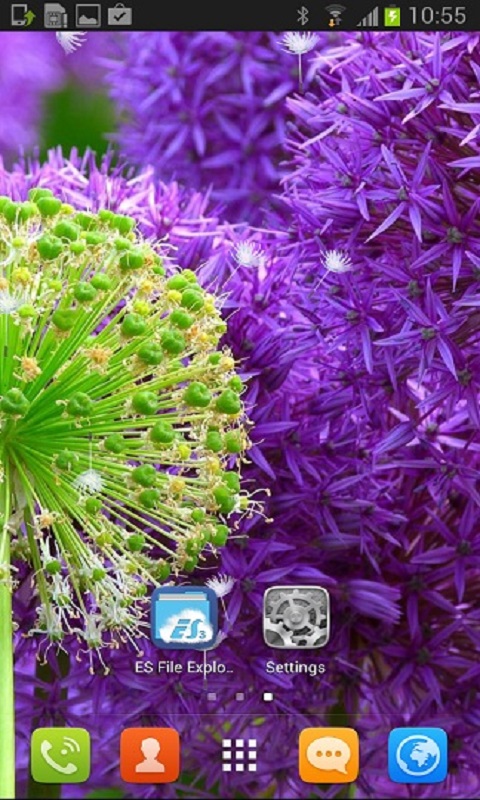 Beautiful Dandelion Flower Live Wallpaper For Your Android Phone
