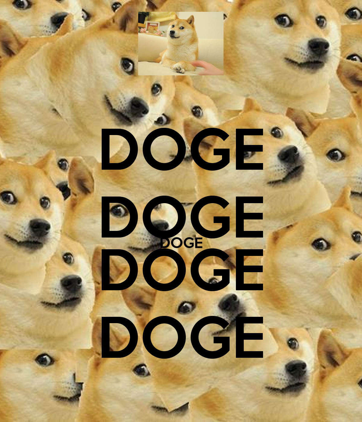 Doge Png