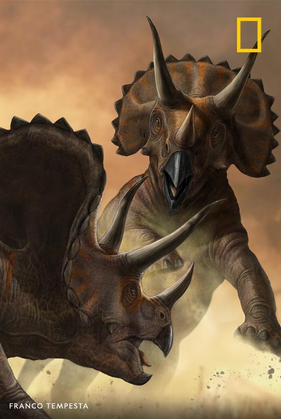 National Geographic Magazine On X Check Out This Artwork By