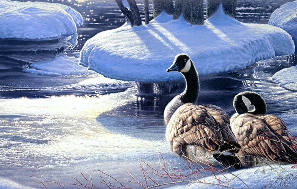 Snow River Ice Geese A Pair Of Wallpaper Photos Pictures