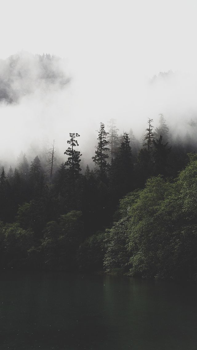 Mountain Forest Lake Misty iPhone 5s Wallpaper Nature