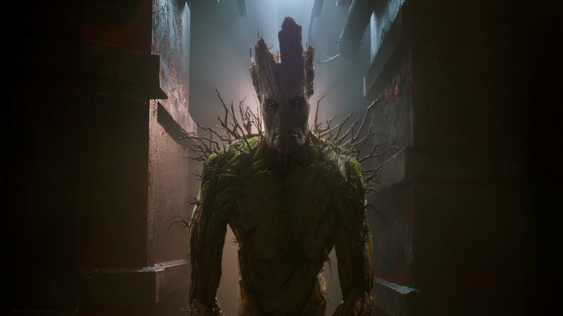 Guardians Of The Galaxy Groot HD Wallpaper HDwallpaperos