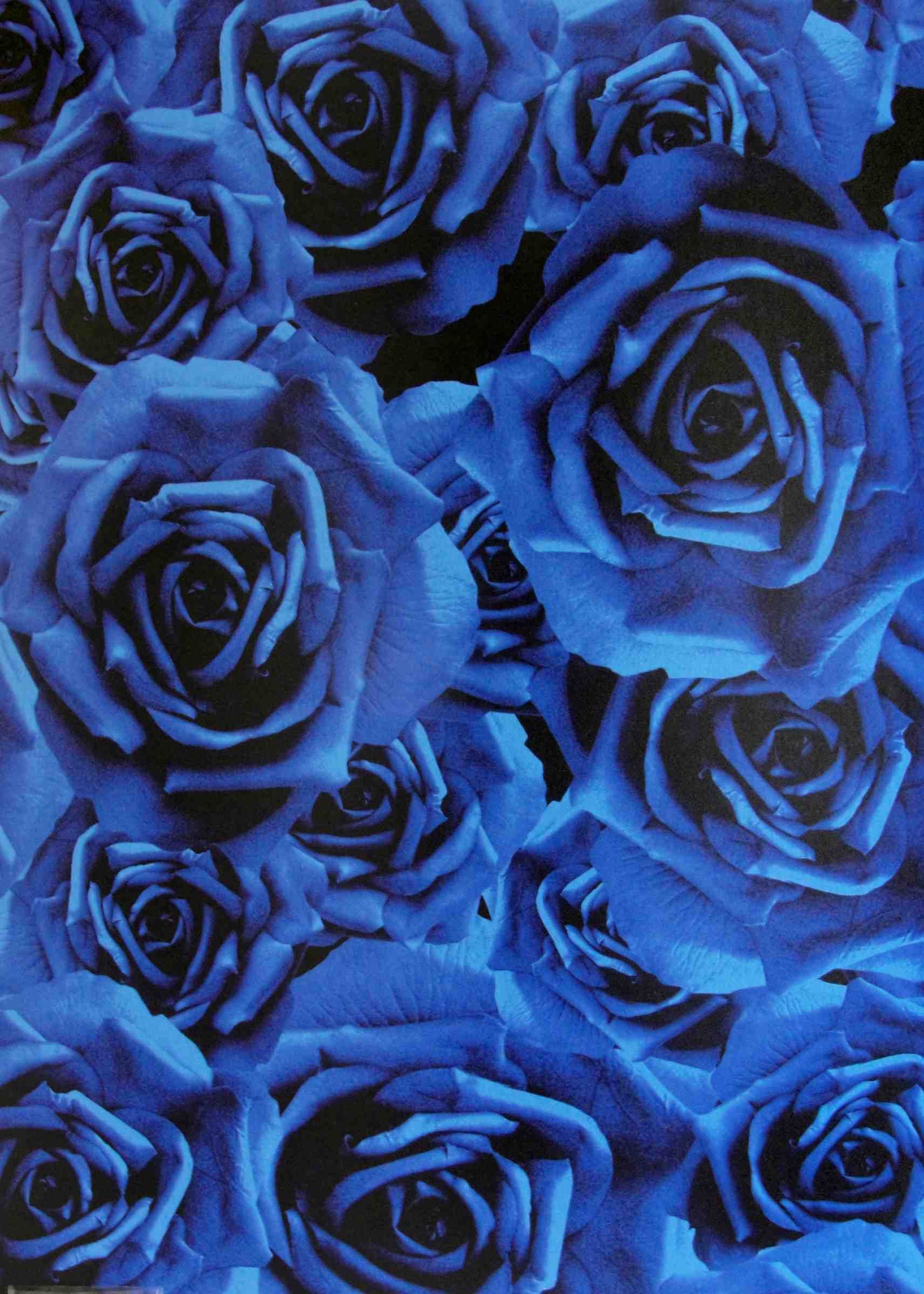 Vie En Rose Cobalt Pmw Phyllis Morris Classic Wallpaper