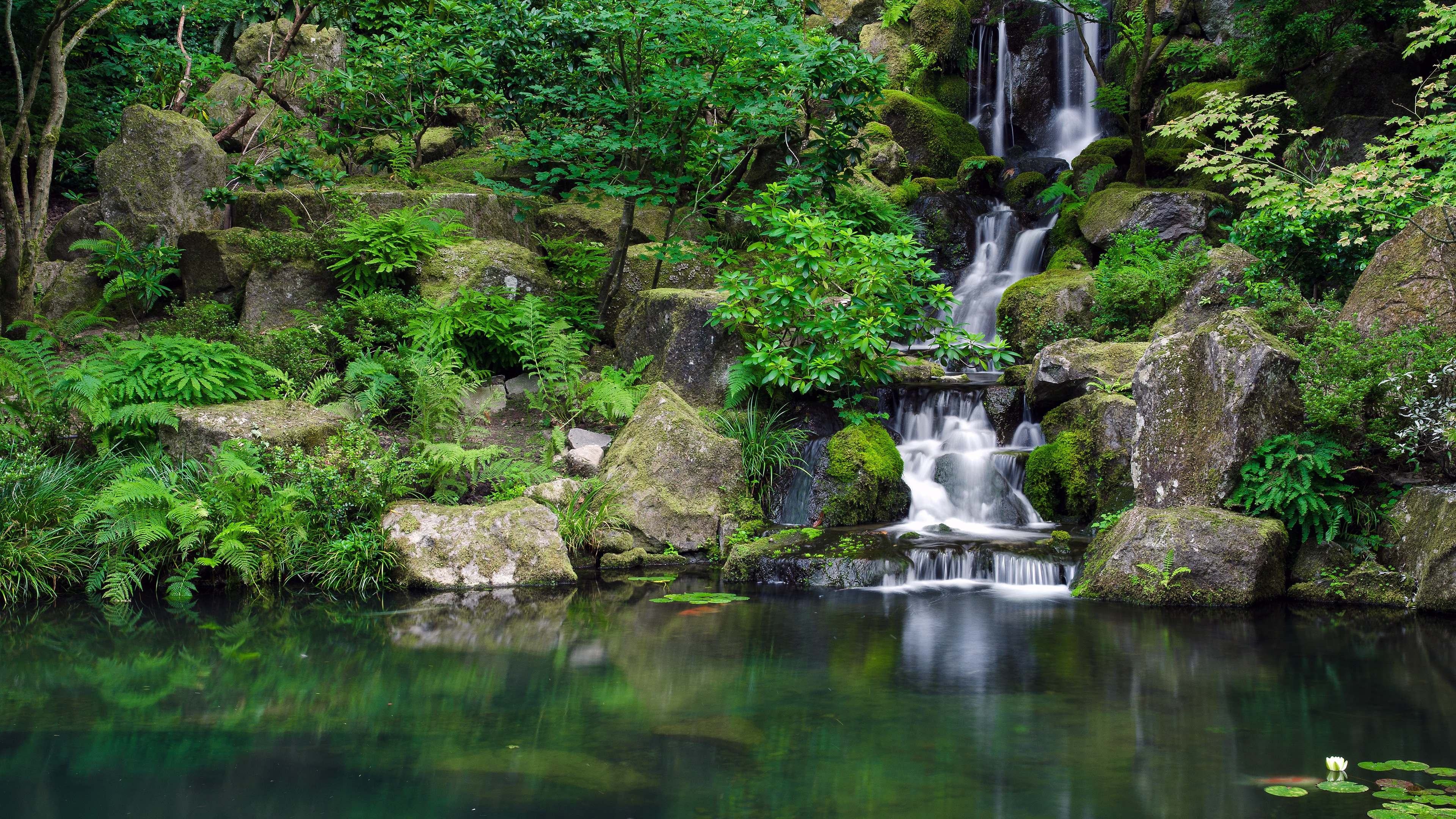 Forest Waterfall Lake 4k Desktop Wallpaper Uploaded By Desktopwalls