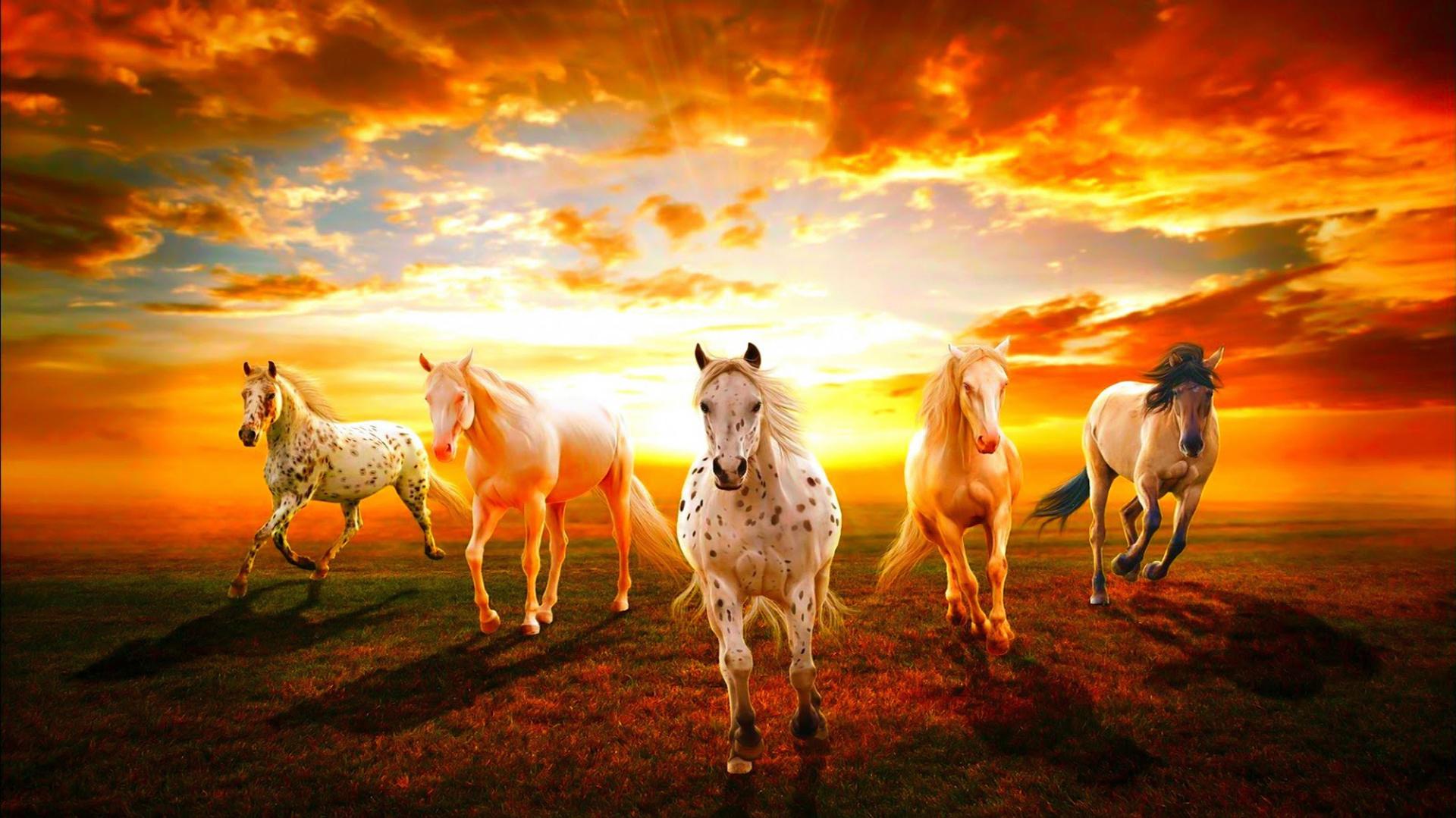 A Group Of Wild Horses Racing At Sunset
