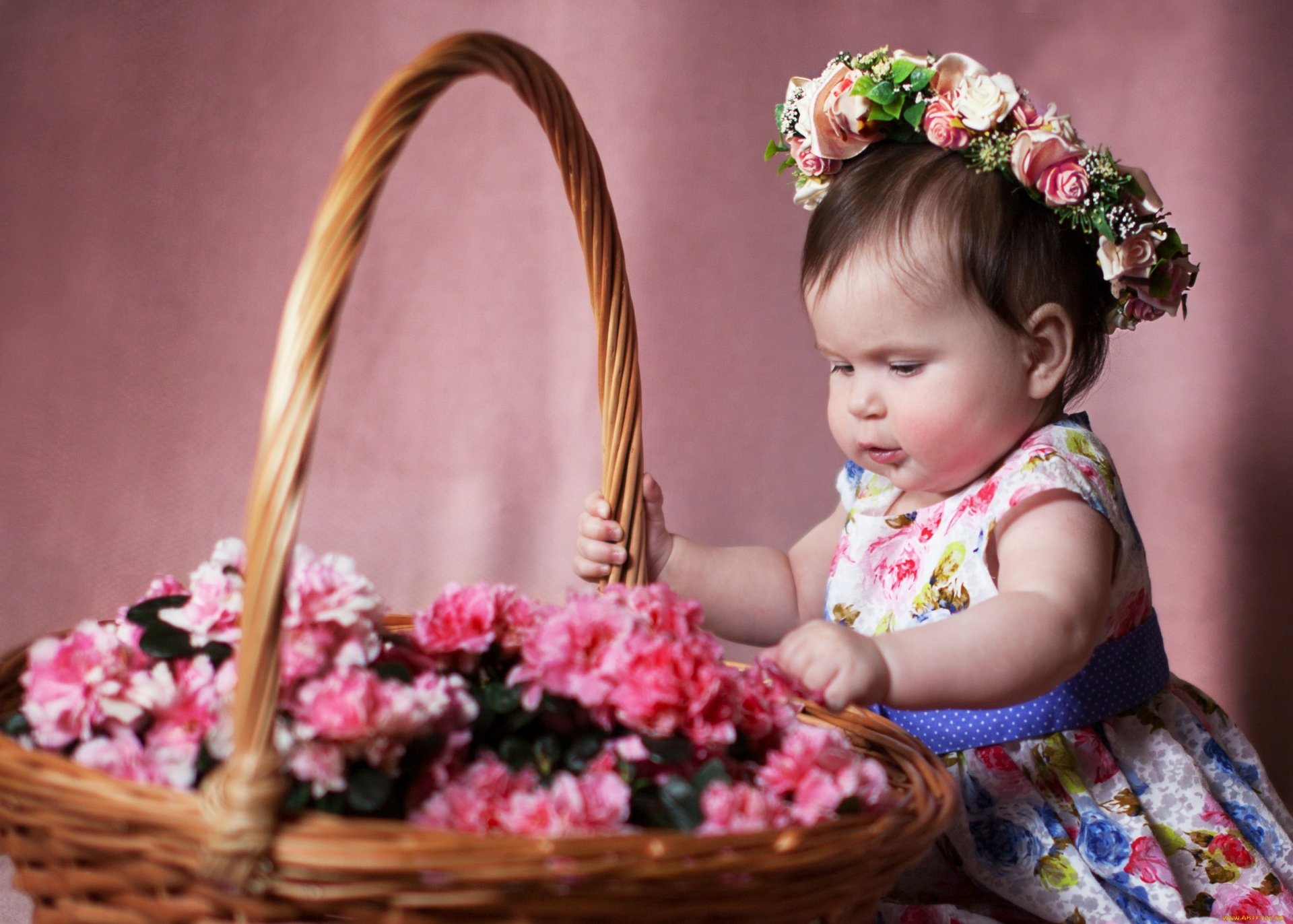 Baby HD Wallpaper