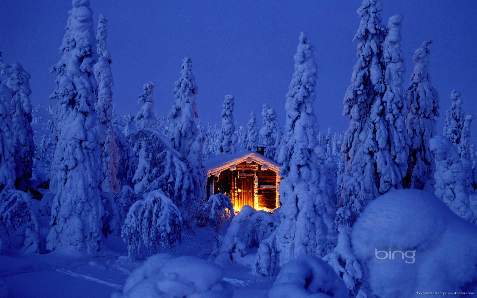 Bing Highlighted House In Deep Snowy Forest Wallpaper
