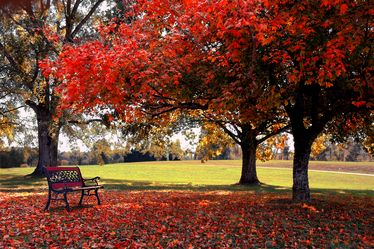 Fall Desktop Background Windows
