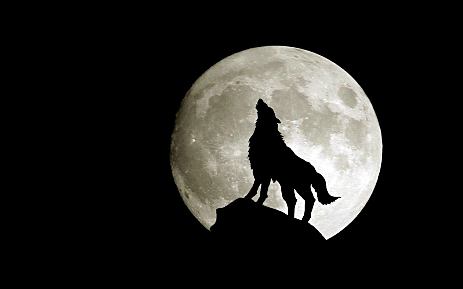 Wolf Moon   Fantasy Wallpaper 28637592