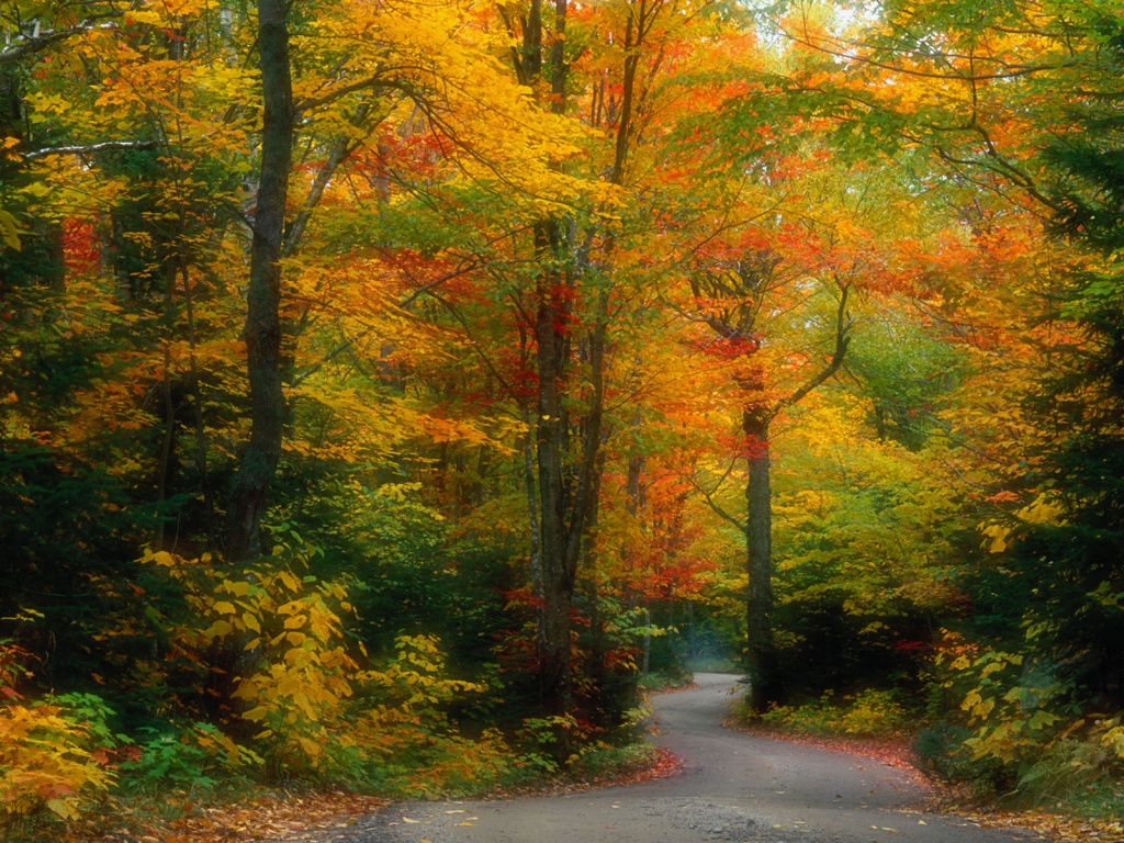 Autumn Scenery Desktop Wallpaper Stock Photos