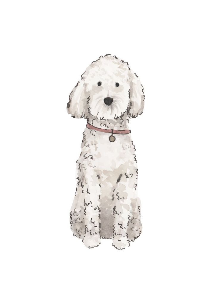 Dog Illustration Art Watercolor Animal
