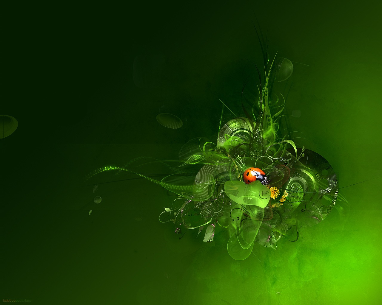 Beautiful Cool Wallpaper