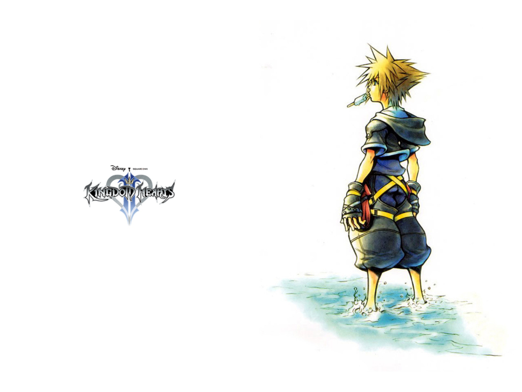 KH2   Kingdom Hearts 2 fond dcran 4508416   fanpop