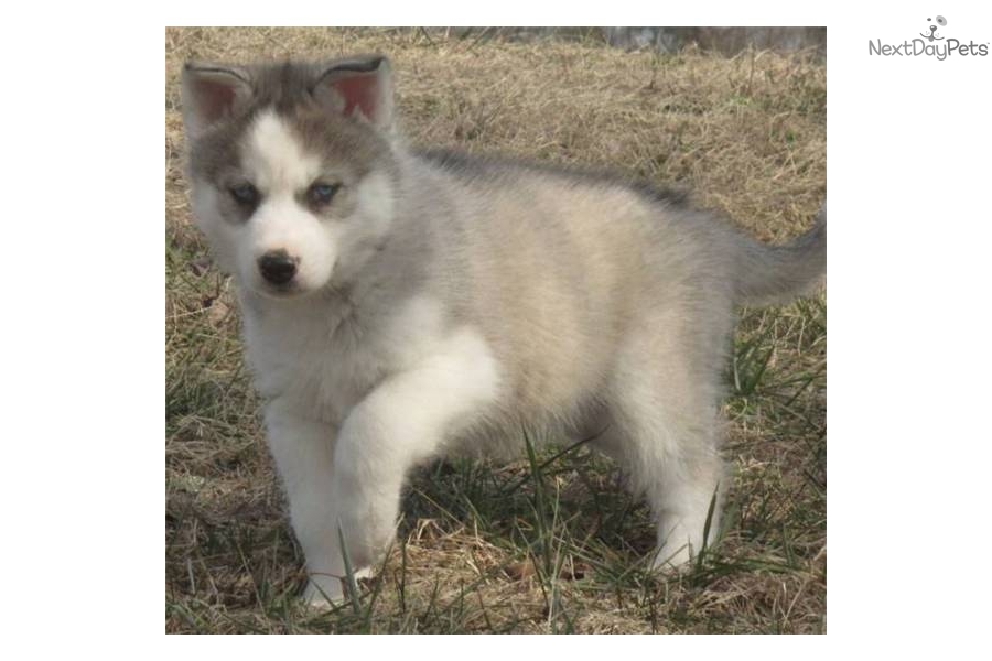 Free download Gray Pattern Desktop Pc And Mac Wallpaper Bed Mattress