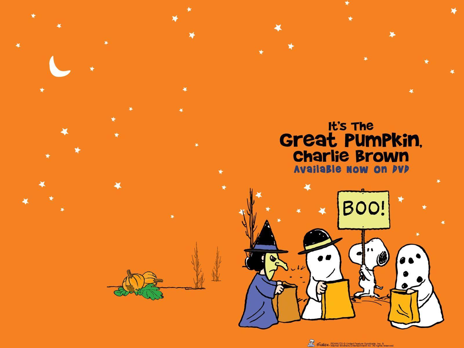 Great Pumpkin Charlie Brown Wallpaper