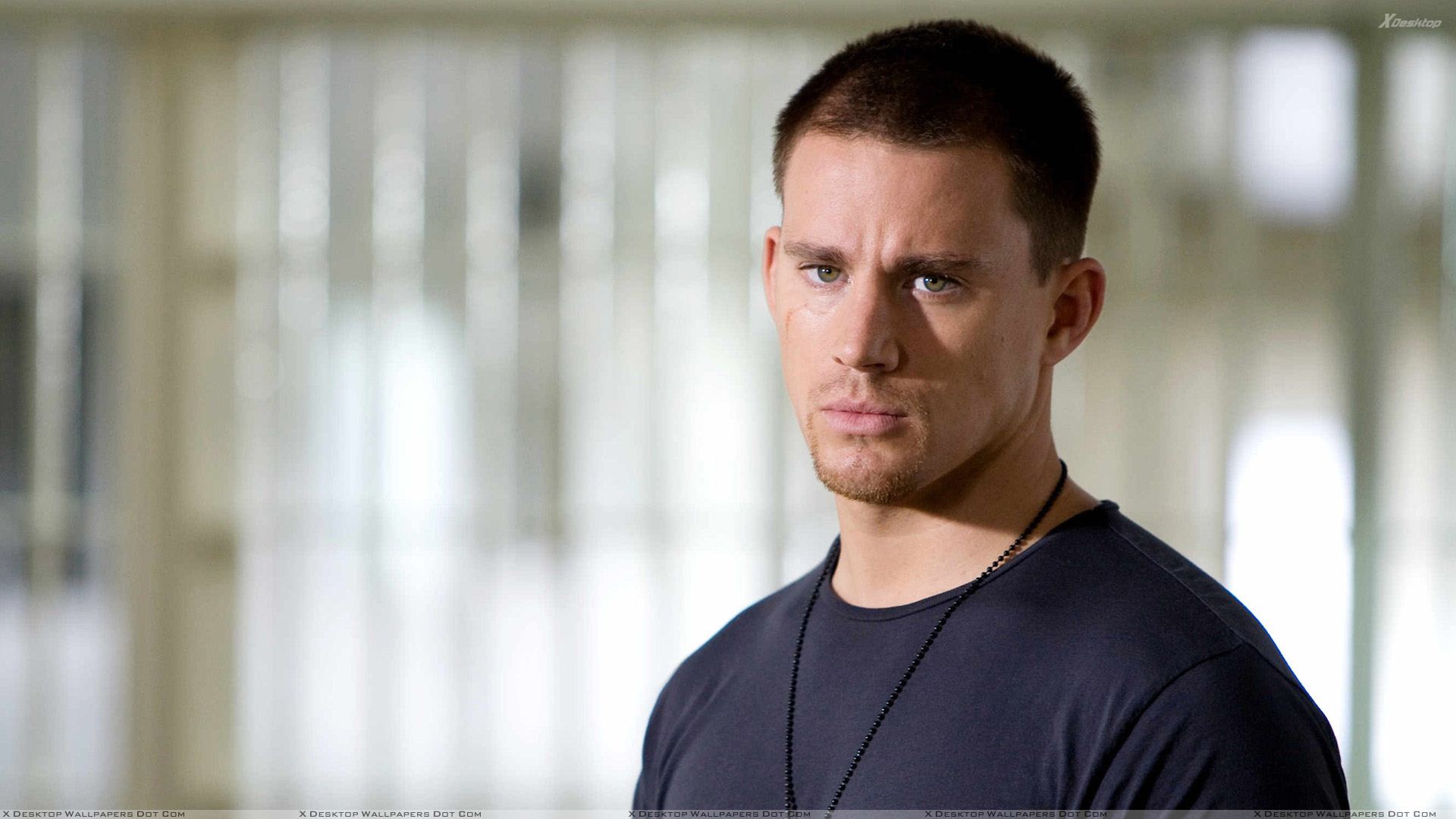 Channing Tatum Wallpaper High Resolution And Quality