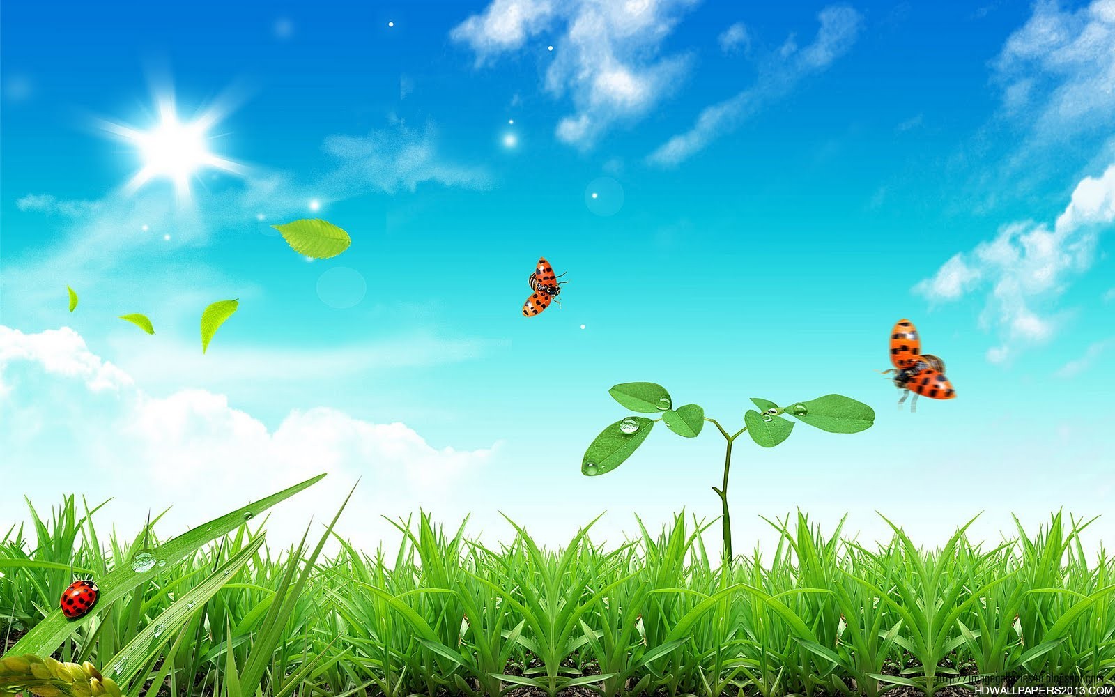 Pc Desktop Wallpaper Spring In Hd