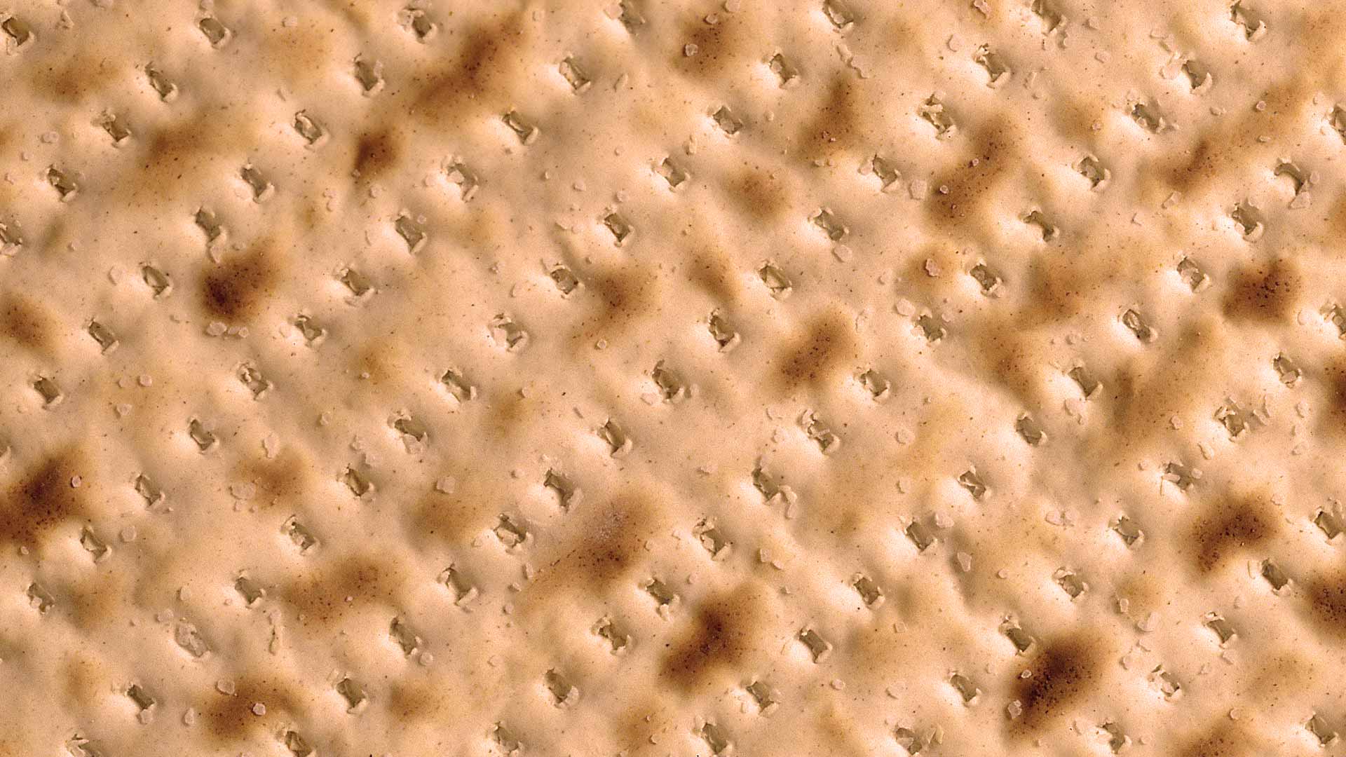 Why Matzah Is Stale A Poem For Every Generaration By Rick Lupert