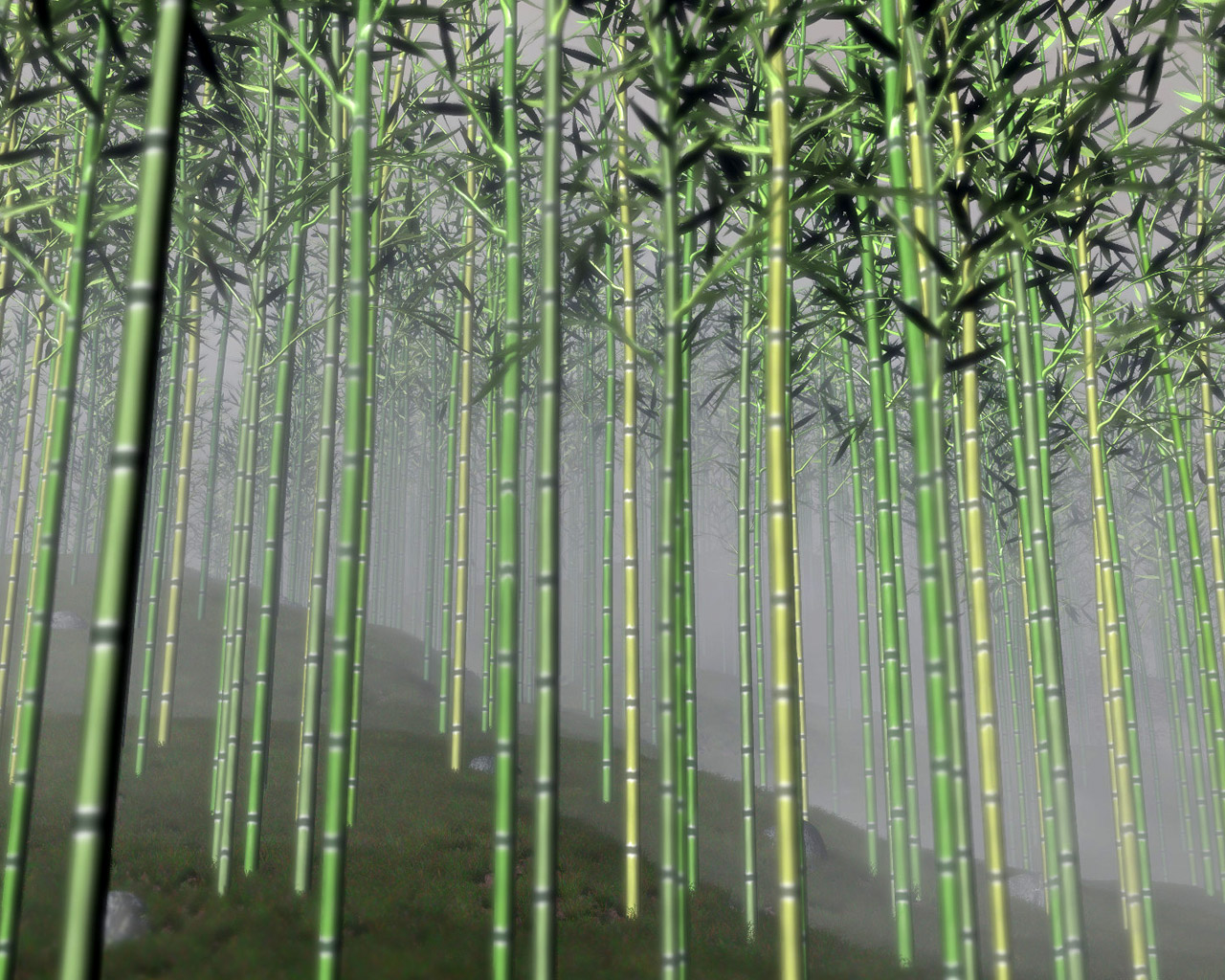 Beautiful Wallpaper For Desktop Bamboo Tree HD