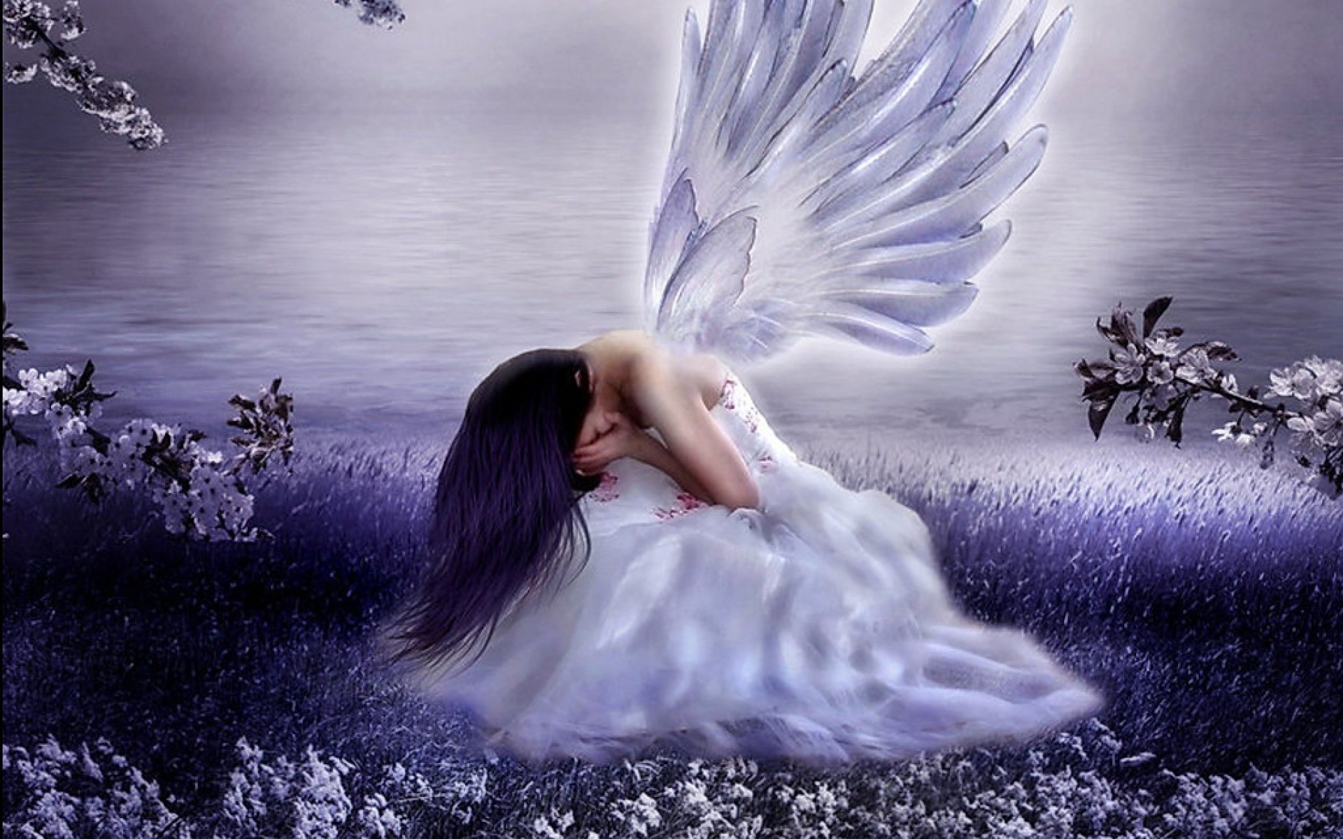 Weeping Angel Wallpaper Image
