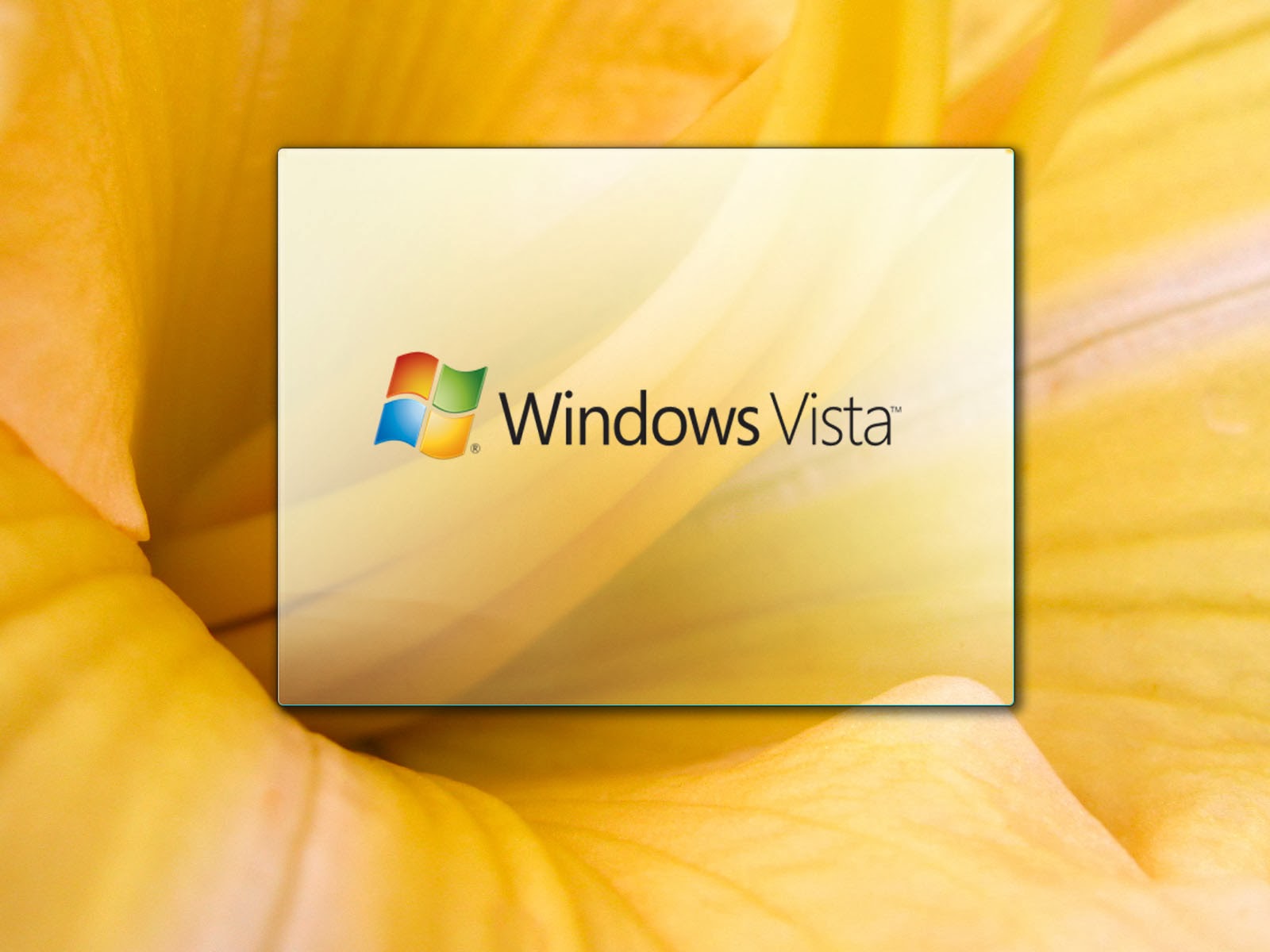 Aero Windows Vista Puter Wallpaper Colorful Multi