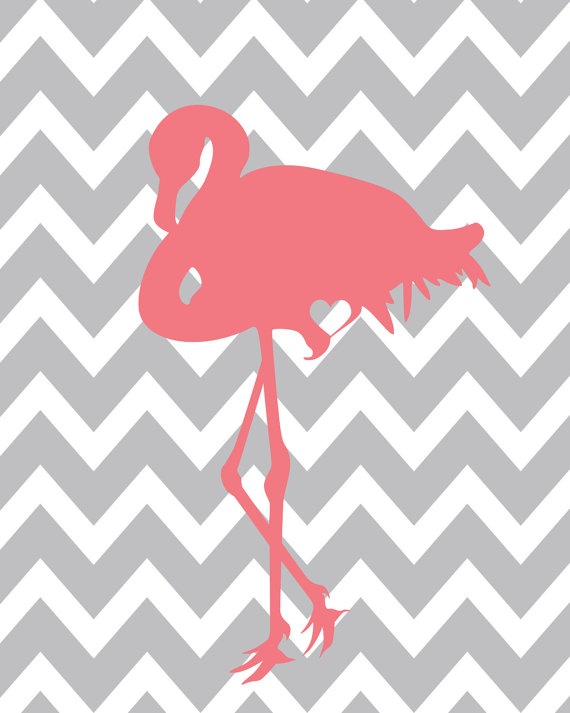 Flamingo Print Flamingos
