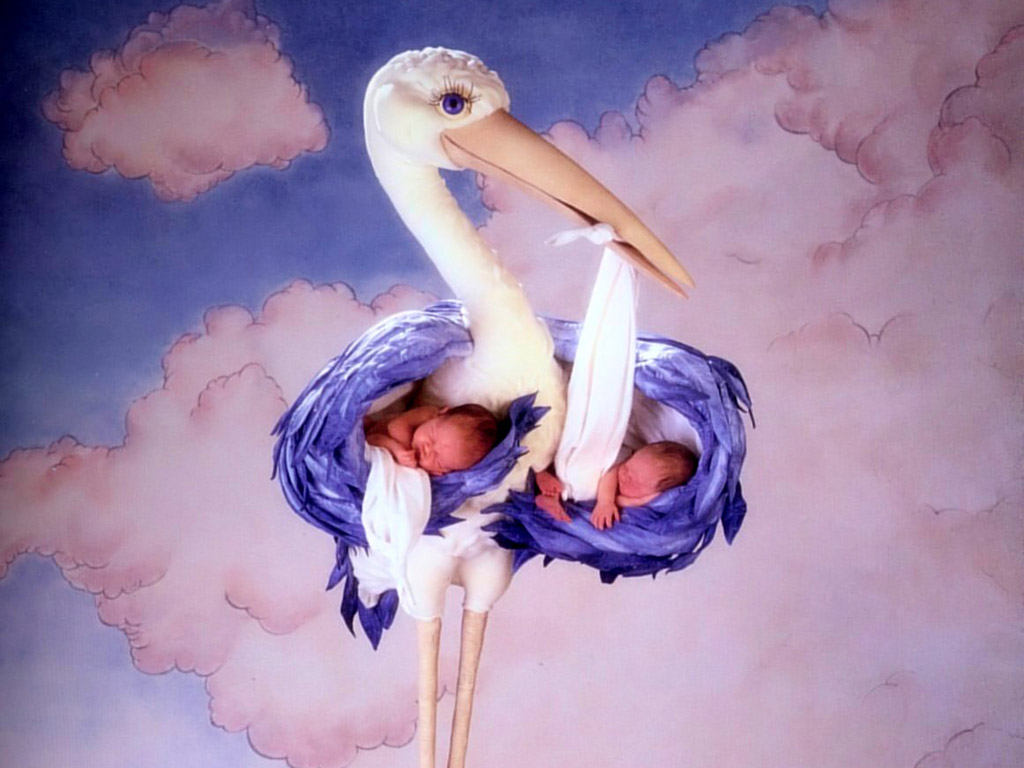Anne Geddes Baby Wallpaper