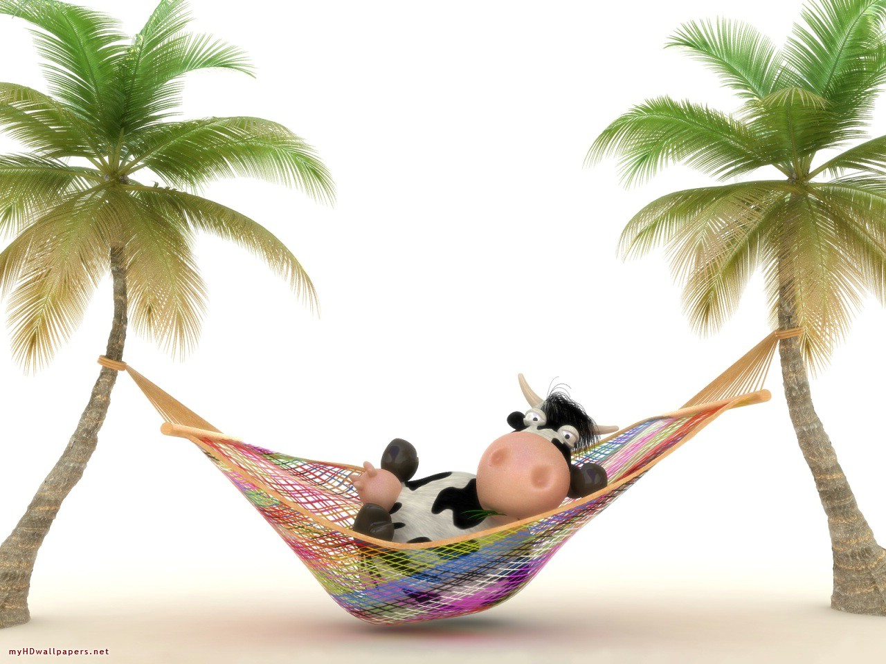 3d Cow On Vacation Desktop Wallpaper HD
