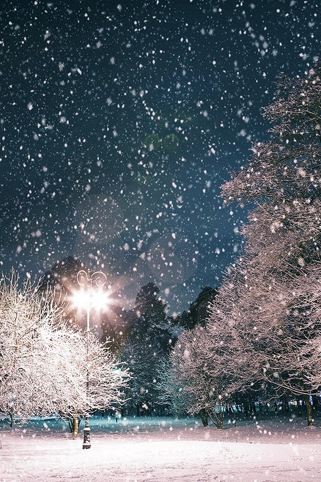 Winter Christmas Scenery iPhone Background HD Wallpaper