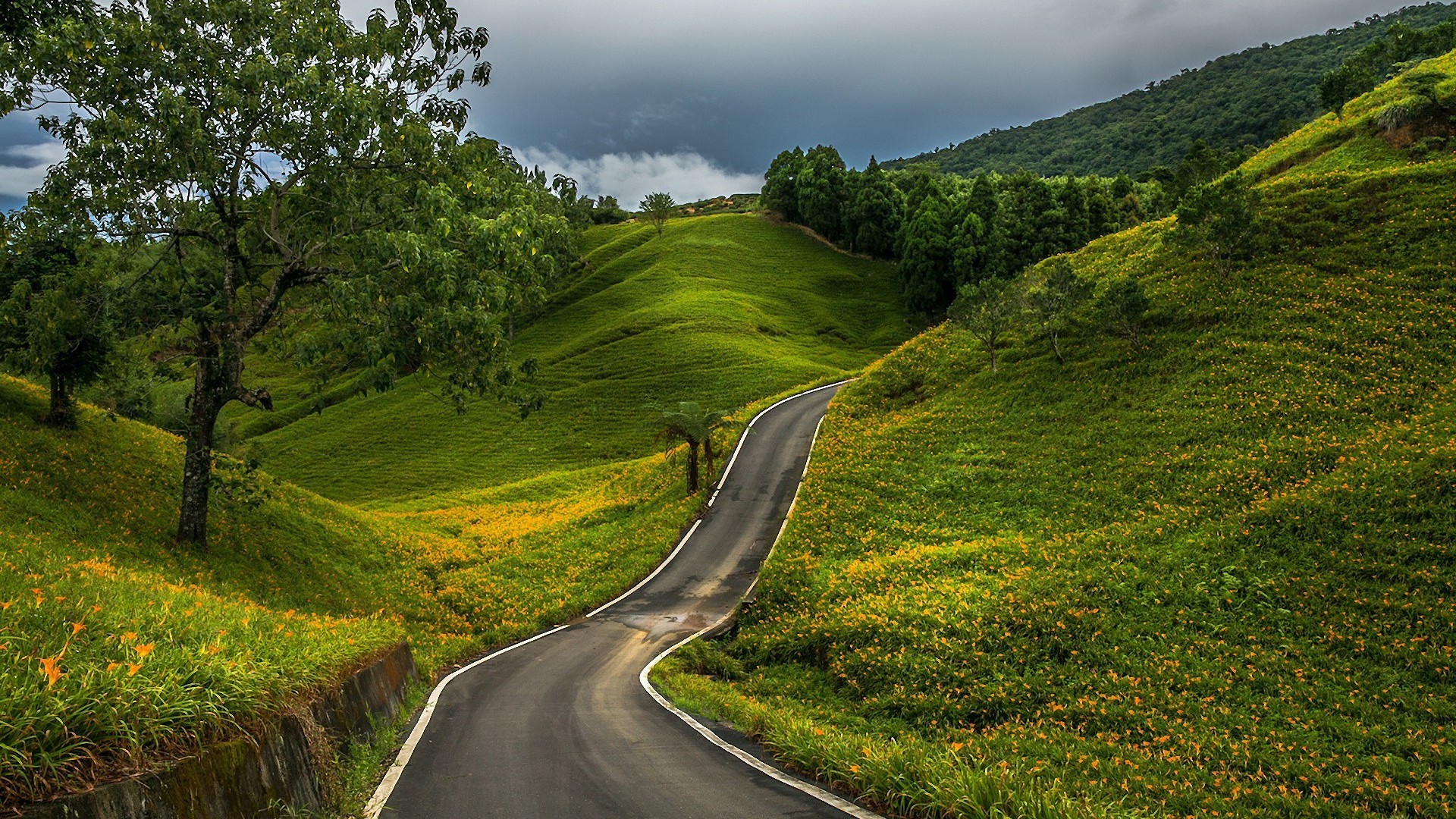 Road Through The Green Hills Wallpaper Hd