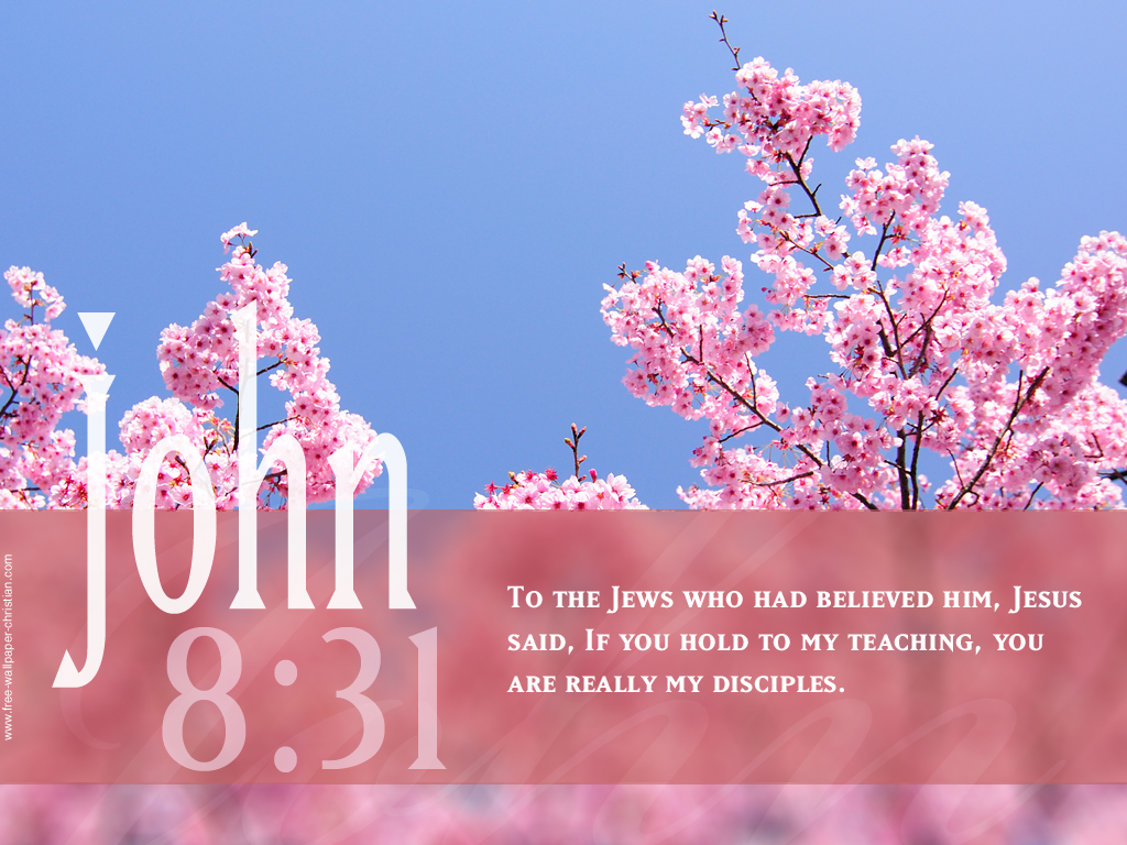 49+] Bible Quotes Desktop Wallpaper - WallpaperSafari