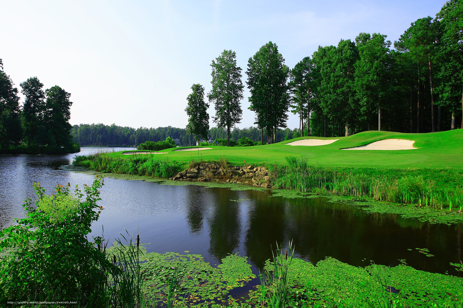 Wallpaper River Trees Golf Course Landscape Desktop