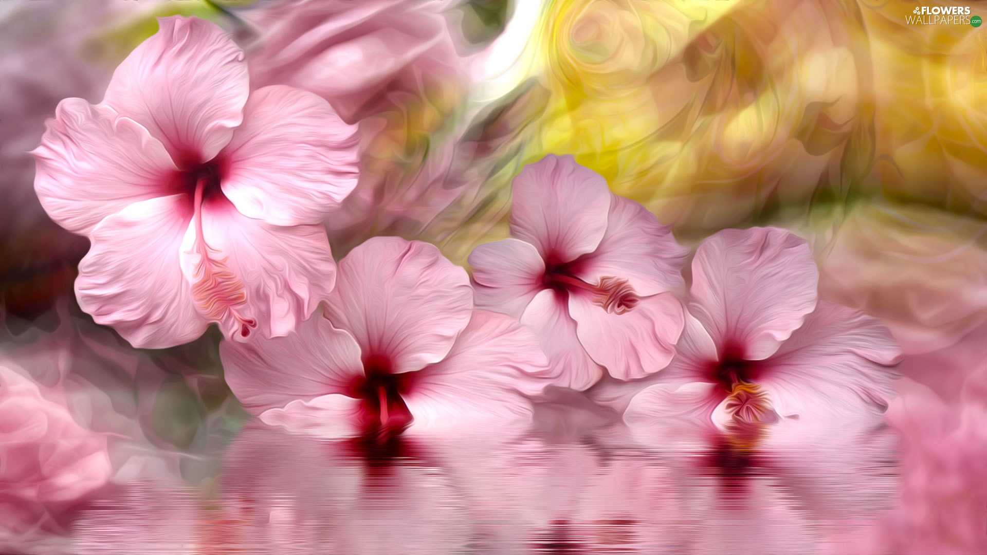 Pink Hibiscus Wallpaper