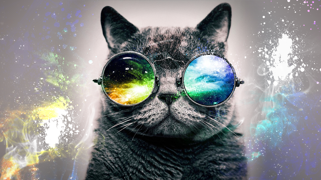 Top Hipster Cat With Glasses Wallpaper