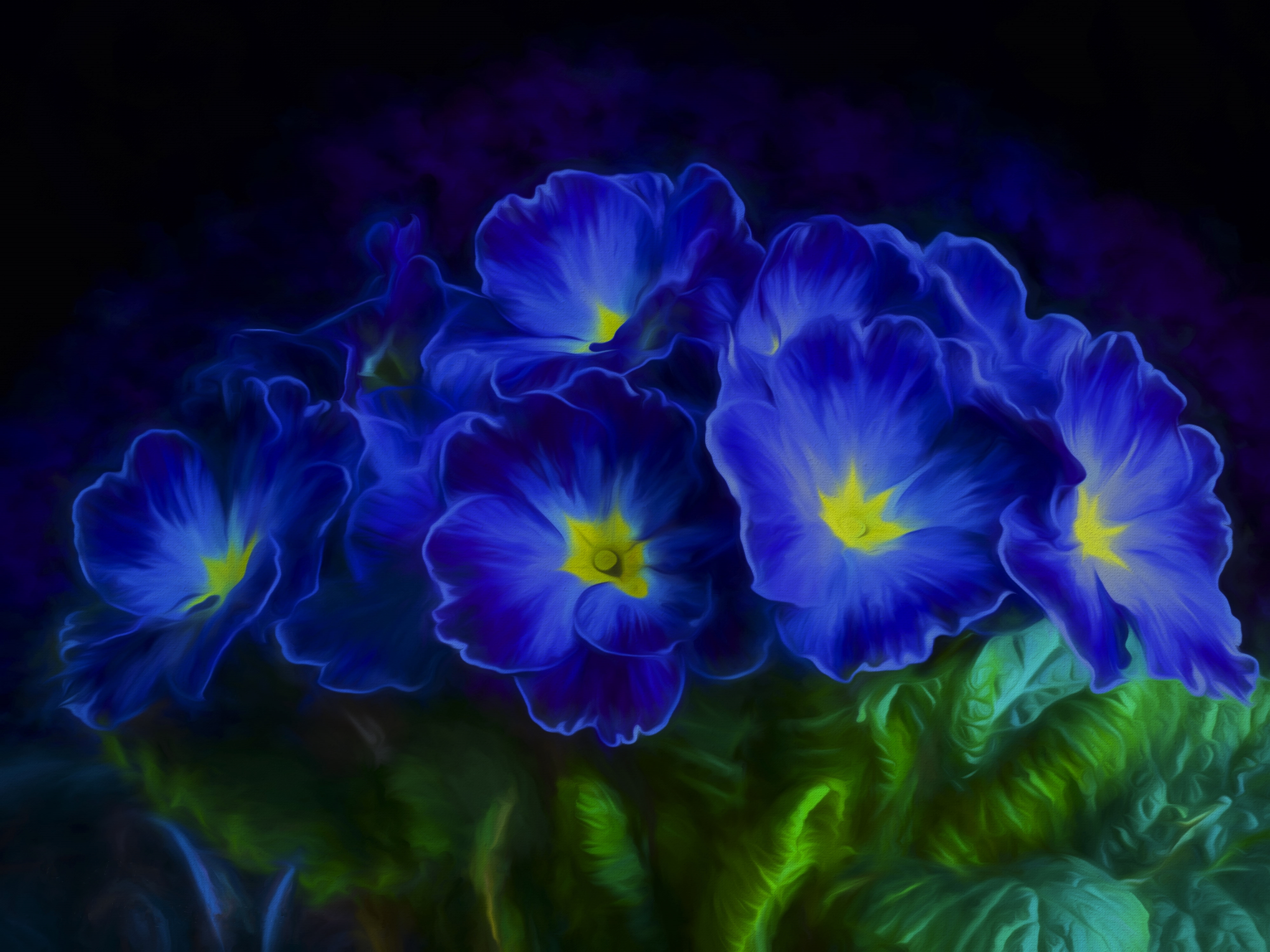 Blue Primrose 4k Ultra HD Wallpaper Background Image