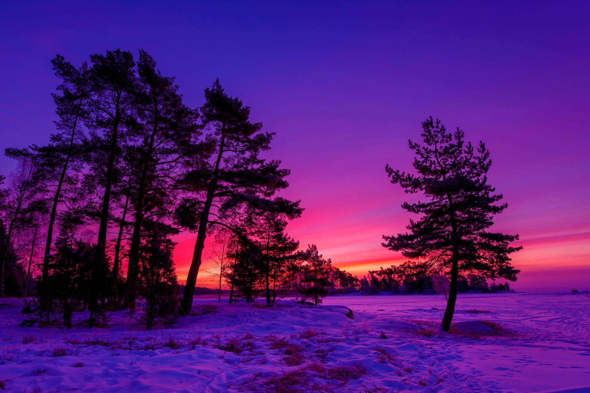 Winter Sunset Wallpaper