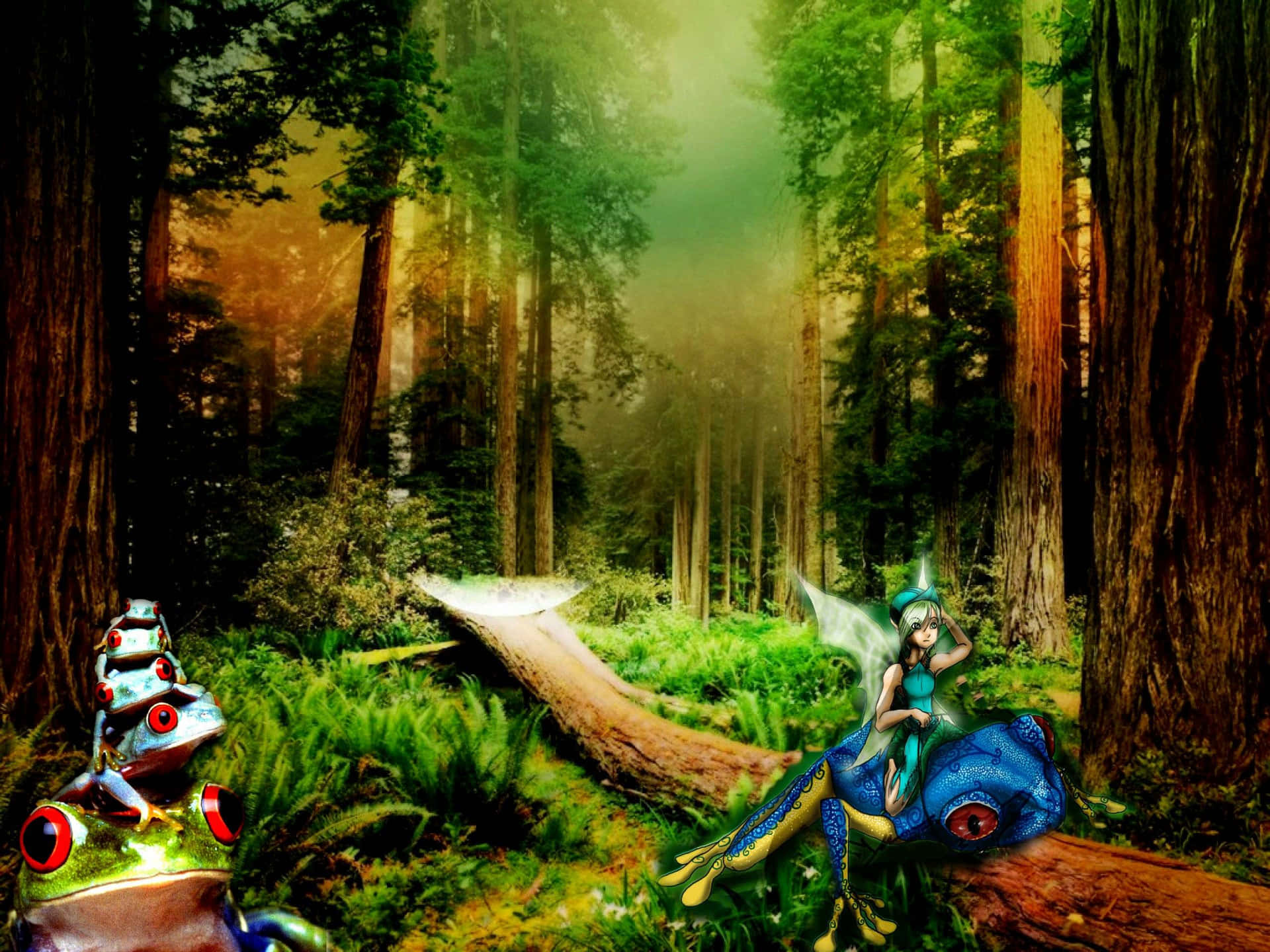 Fairy Forest Background Wallpaper