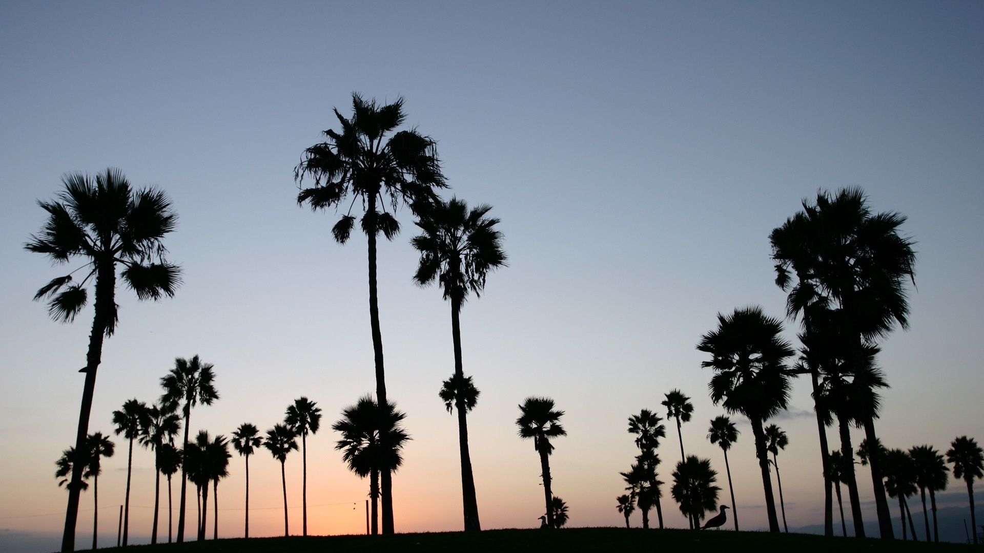 Los Angeles Wallpaper Desktop Goodwp